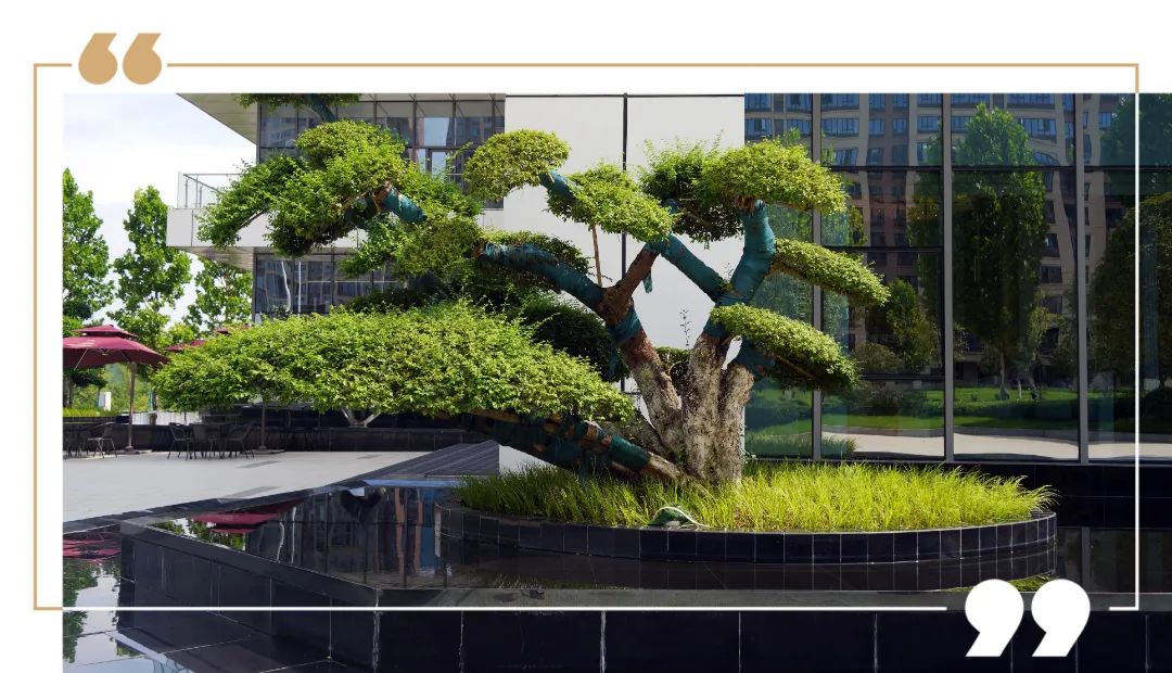 金富高铁滨河院实景园林提前公开，9年明德望城学校建面110-170㎡准现房热销！