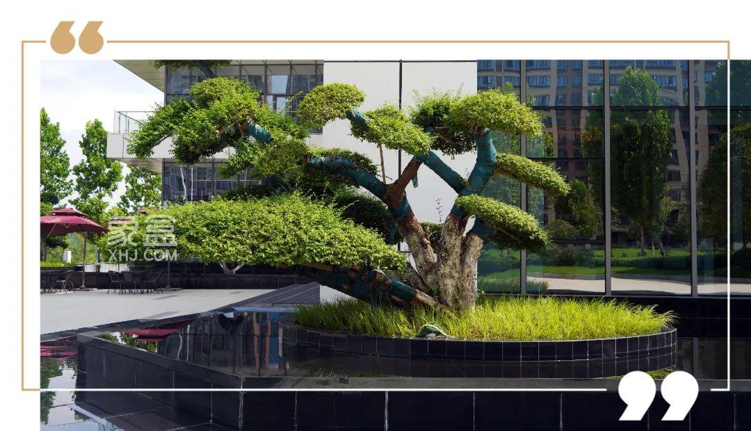 金富高铁滨河院实景园林提前公开，9年明德望城学校建面110-170㎡准现房热销！