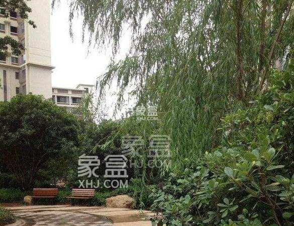 7月12日长沙租房急租：麓谷新装精致公寓，近工业园正地铁，性价超高