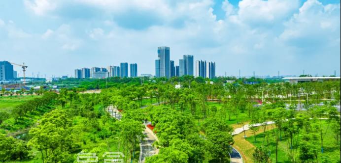 长沙新增一座城市湿地公园！位置在望城！