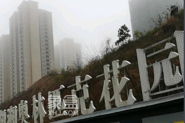 巴黎奥运会来临！长沙也有不少“奥林匹克”小区！