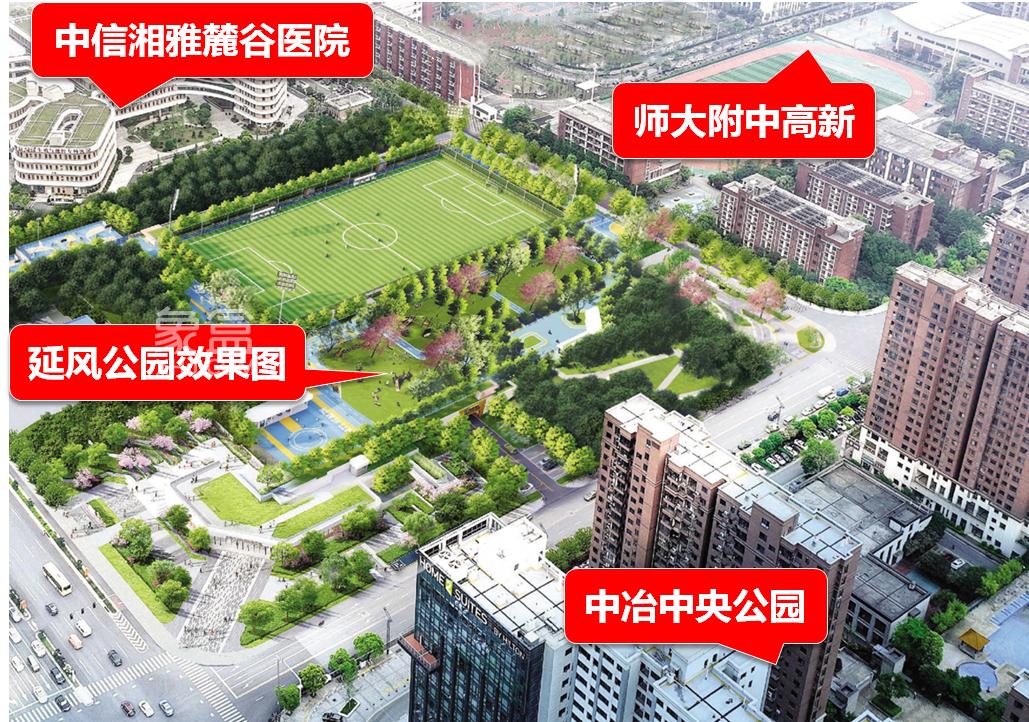完成招标！河西麓谷“延风公园”终于要开建了，居然还包括一座“国际标准足球场”！