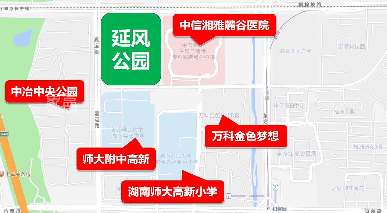 完成招标！河西麓谷“延风公园”终于要开建了，居然还包括一座“国际标准足球场”！