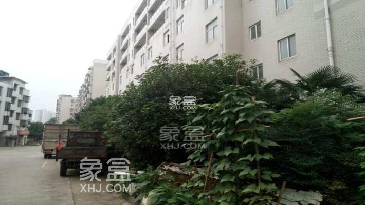 7月30日长沙租房急租：梅溪湖豪华精装一室，环境佳通勤便租价低