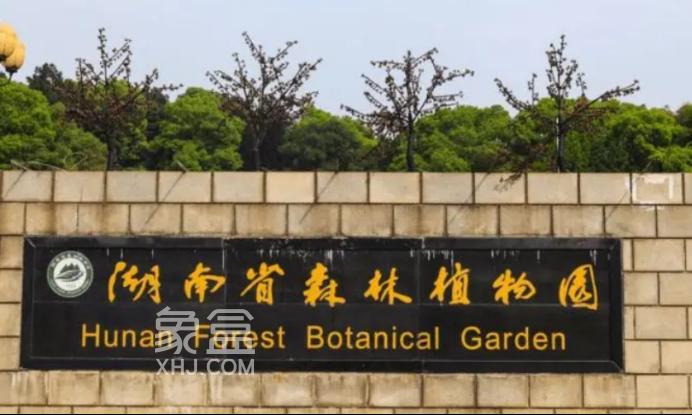 【夏日安家節(jié)】省植物園旁好房推薦：恒大城、長房明宸府、保利城！