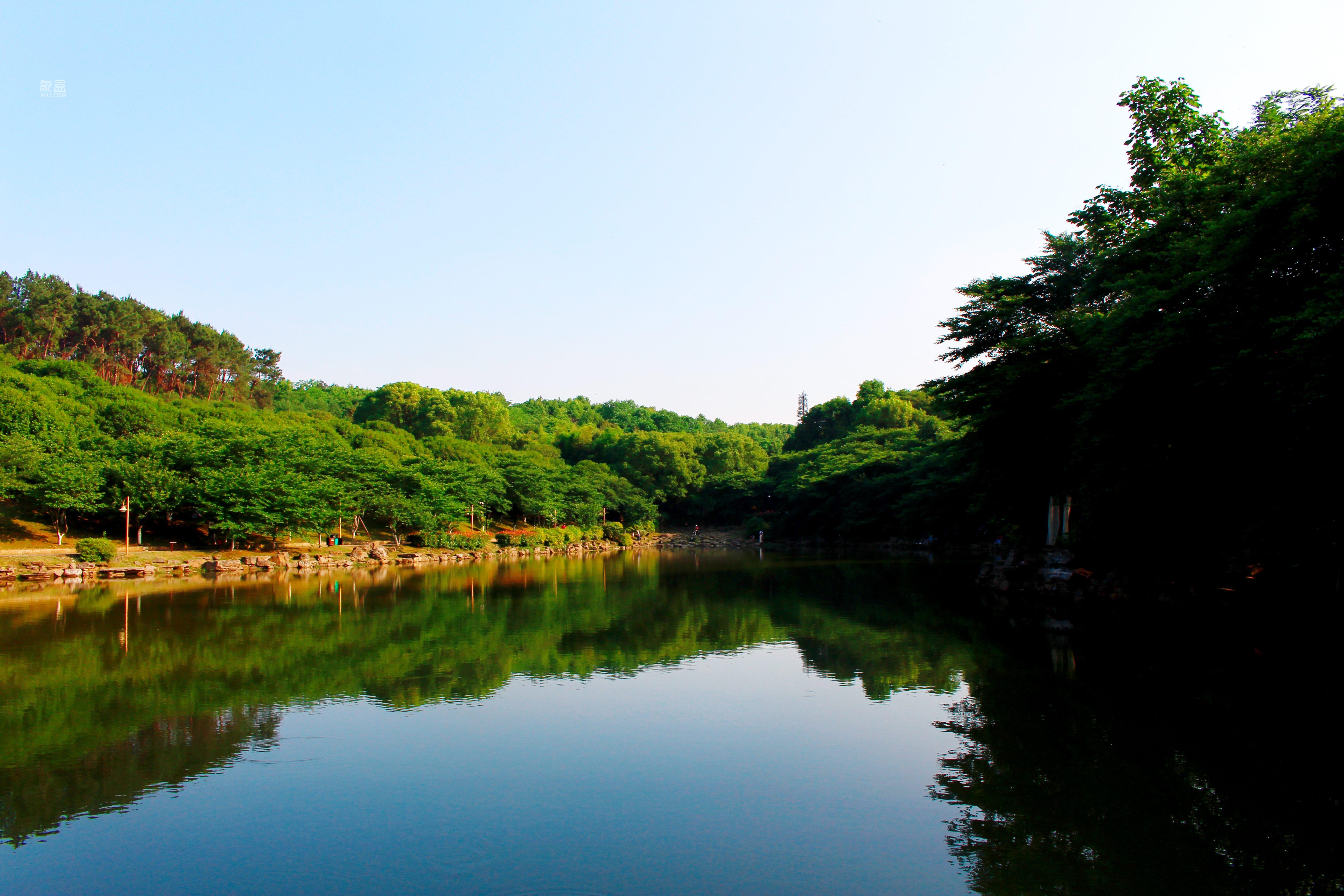 【金秋好景好租】省森林植物园：红星商圈旁，繁华热闹配套完善
