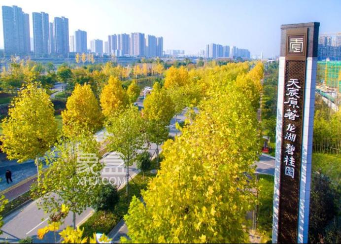 【小区测评】龙湖碧桂园天宸原著：一线临河高品质社区，改善必看！