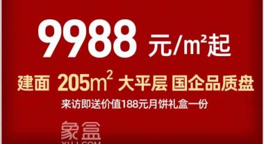 建发玖洲和玺