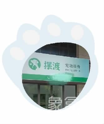 長沙金輝優(yōu)步花園6棟開了寵物殯葬店？資質(zhì)證件不齊，已被叫停！
