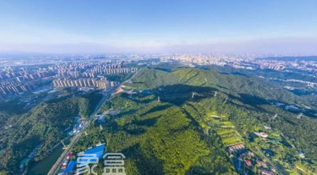 【金秋好景好租】谷山森林公園：視野好戶型大，交通配套均佳