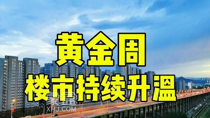 十一黄金周促销普遍加大，市场“回稳”迹象明显，后续将持续显效