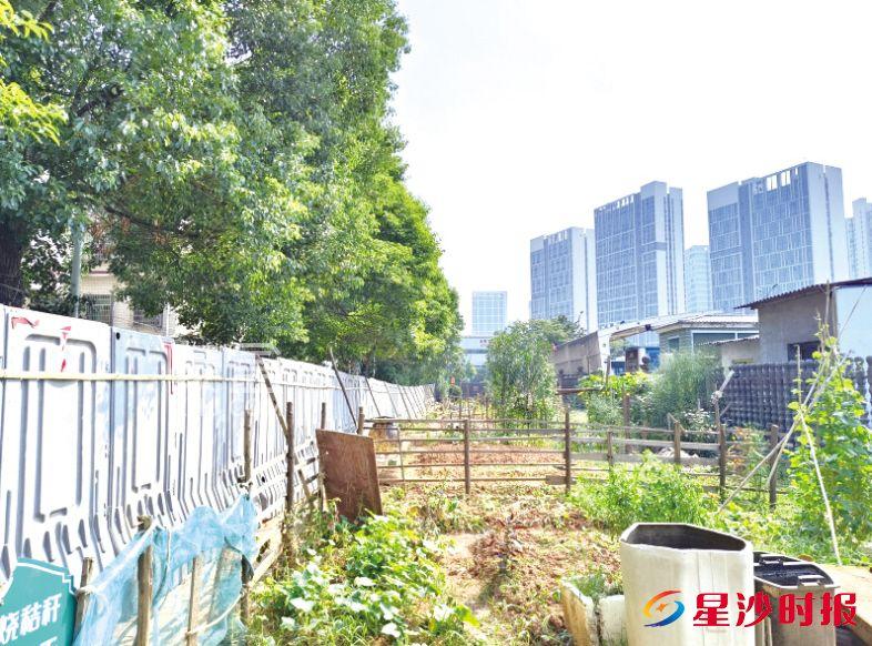长沙县泉塘丁家岭安置小区等16个旧改，共涉及房屋3223单元栋、居民3468户！