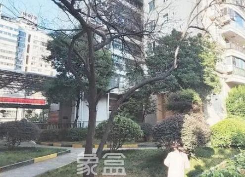 長沙市實施既有小區(qū)提質(zhì)改造，小區(qū)煥然一新，業(yè)主幸福指數(shù)提高