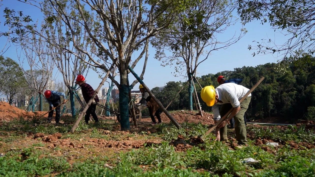長沙望達(dá)城市生態(tài)公園預(yù)計年底開放，位于望達(dá)智造小鎮(zhèn)旁！