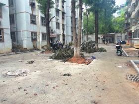 长沙德政园旧改绿化地换停车位？业主质疑！