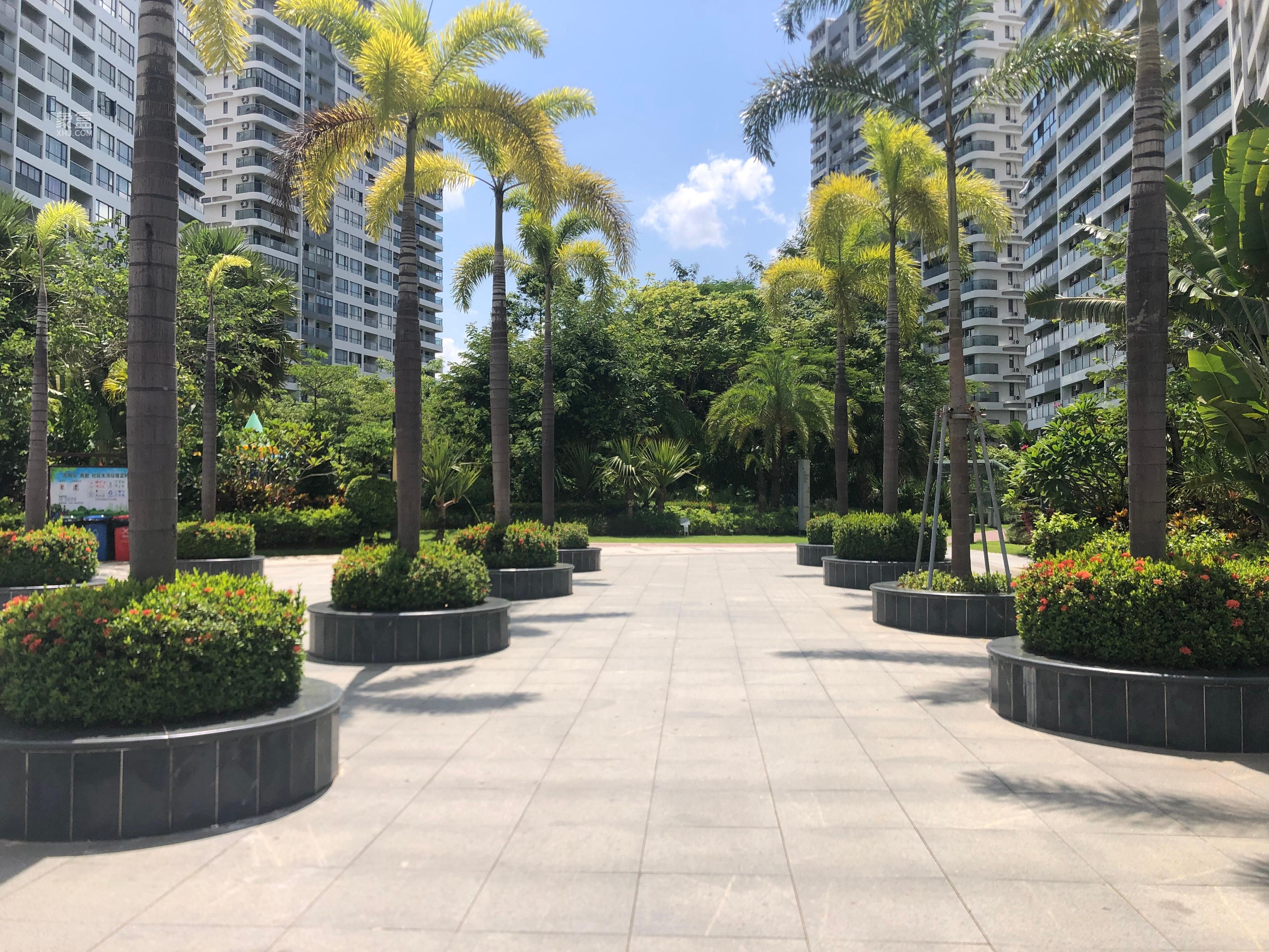 海南买房攻略：抓住封关前的最后机会，布局自贸港新未来！
