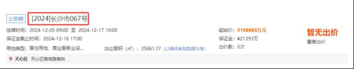 南湖新城板塊掛牌重磅地塊！一線臨江、配套九年制學(xué)校！