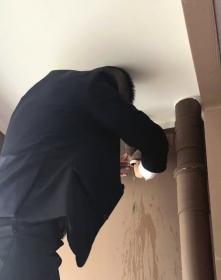旭輝國宸府潦草精裝房，花費近400萬元，入住第一天滿地積水！