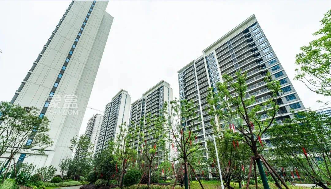 大汉春和云境建面100-140㎡毛坯现房，会展新城8字头博才雅礼双书包房！