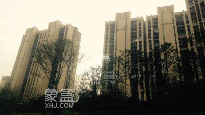 12月3日长沙租房急租:洋湖单身复式、市府豪华精装、梅溪双轨口 12月3日长沙租房急租:洋湖单身复式、市府豪华精装、梅溪双轨口