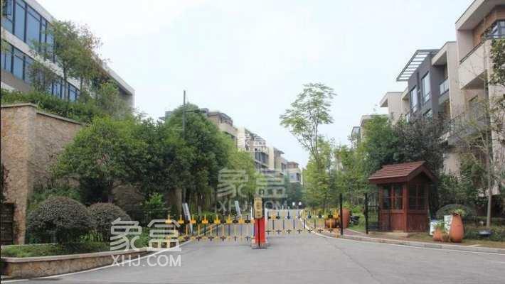 长沙龙湾国际社区四期商铺“证缴分离” ，破解不动产登记难！