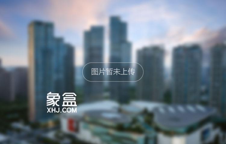 【在售】华润置地西园望江悦府顺销楼栋