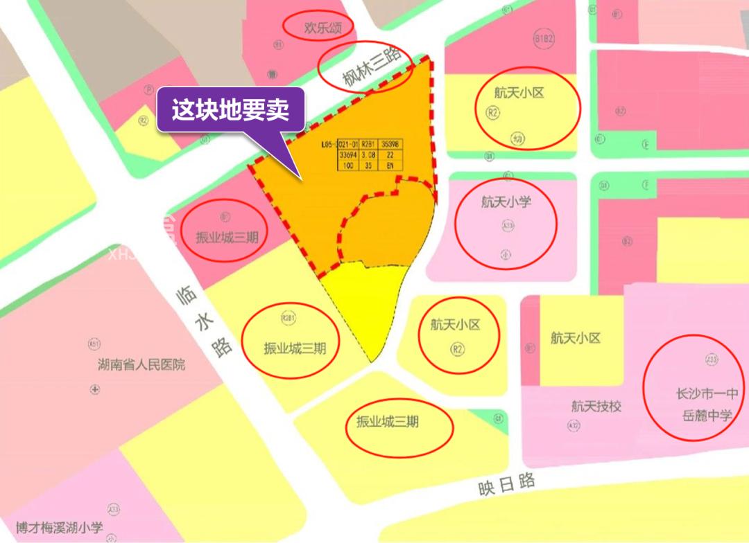 “梅一”今年有几个纯新盘要上！值得期待！