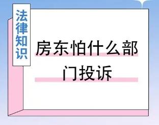 如何有效起诉房东以维护租客权益的详细指南