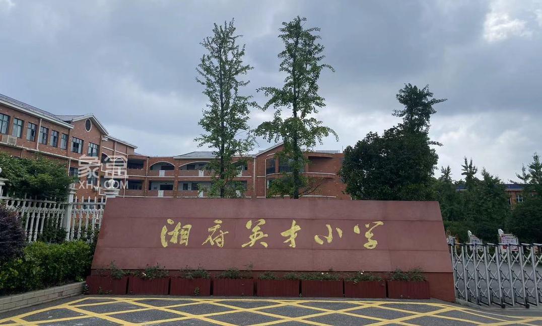 “鑫远紫樾府”周末首开！省府“真豪宅”，家门口“地铁+名校+公园”！
