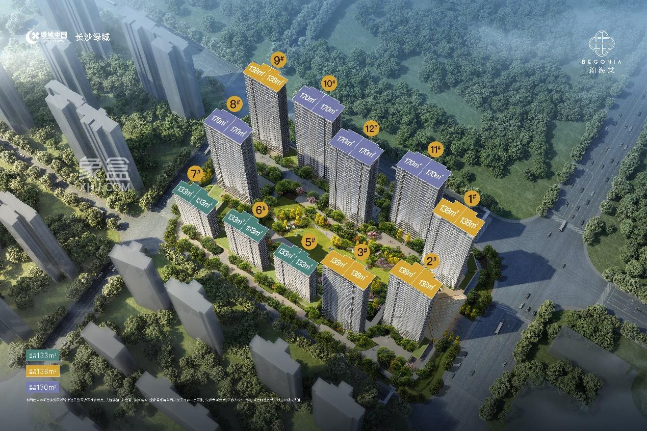 3月8日绿城锦海棠城市展厅已开放，市府零公摊双书包房即将入市！