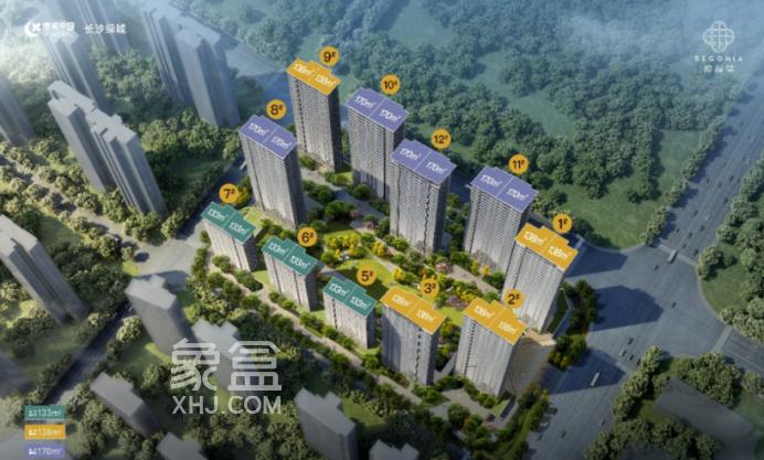 绿城市府新盘“绿城锦海棠”面世，户型图公布！下一个爆款？