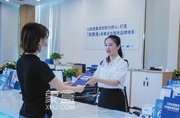 三亚：打造海南自由贸易港建设标杆的坚实力量‌