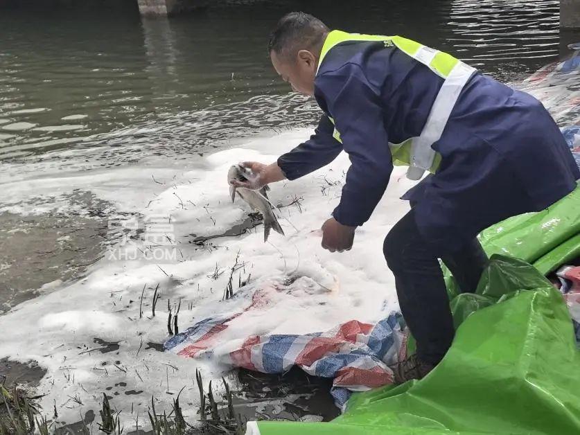 3月17日長沙開福區(qū)園林綠化維護中心在月湖公園開展2025年魚苗投放活動！