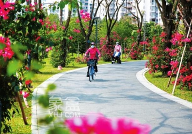 三亚探路美丽中国：以生态基因重构滨海城市的进阶密码