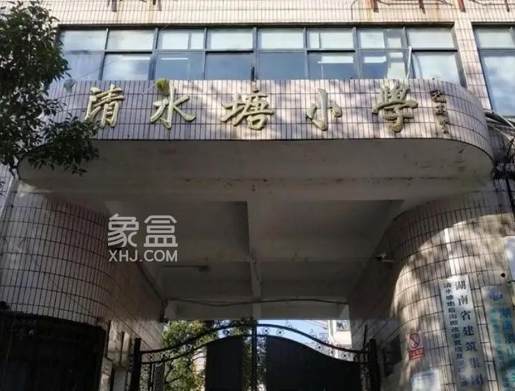 4月“报名季”（下）——带你了解长沙的“名小”！