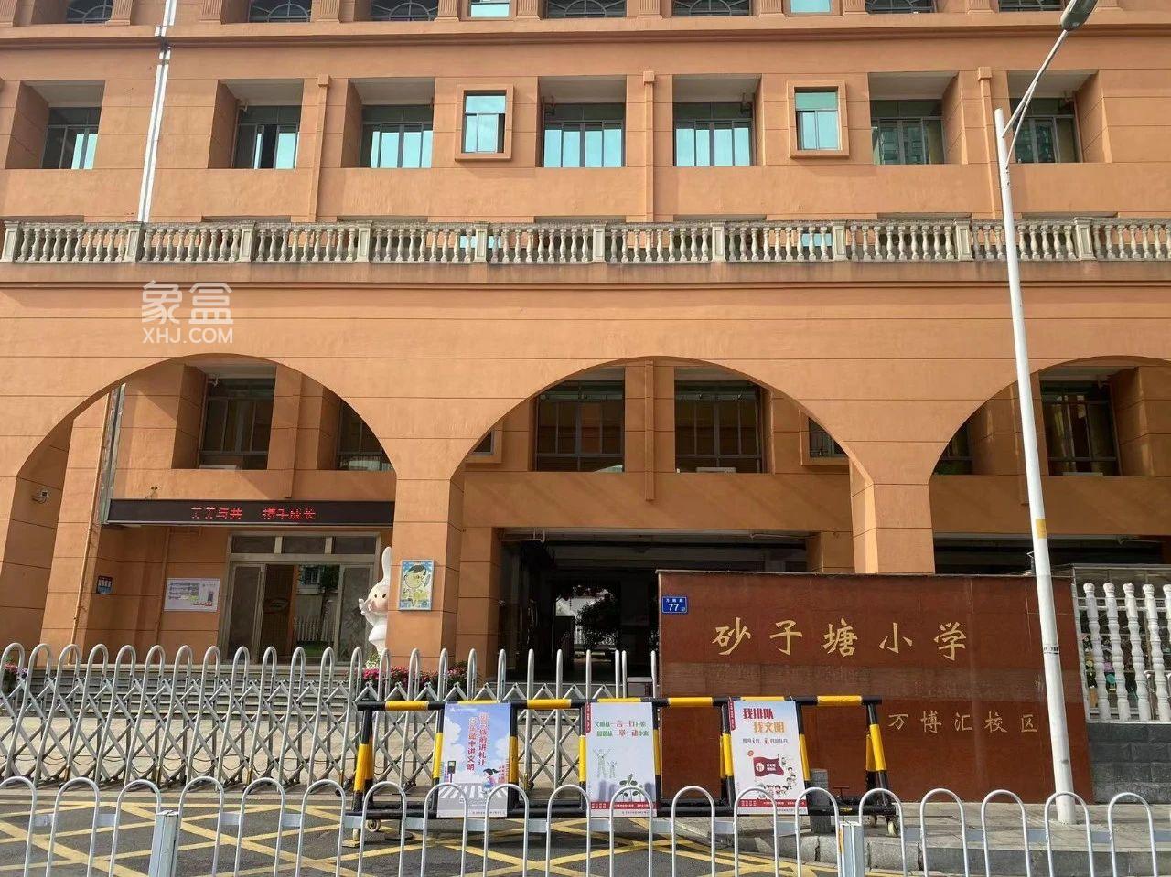 4月“报名季”（下）——带你了解长沙的“名小”！