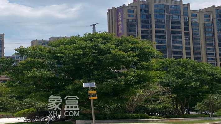 边户VS中间户：全面解析采光、通风与居住的舒适度