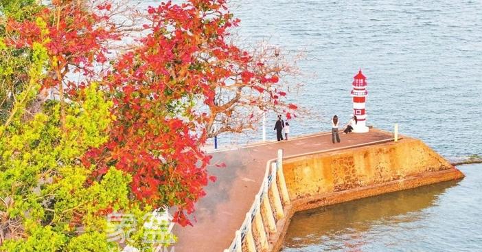 海口以花为媒：从“春日限定”到四季生金的“美丽经济”升级之路‌