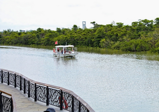 海口东寨港红树林旅游区晋升国家4A级景区 打造生态文旅新标杆 海口东寨港红树林旅游区晋升国家4A级景区 打造生态文旅新标杆