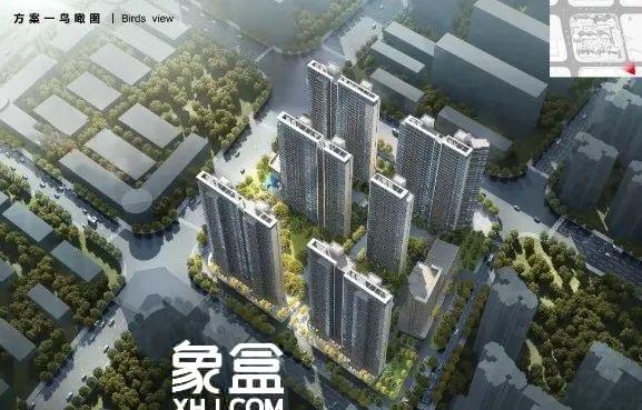 【开盘】4月30日金地大成雅颂7栋装修房14500元加推