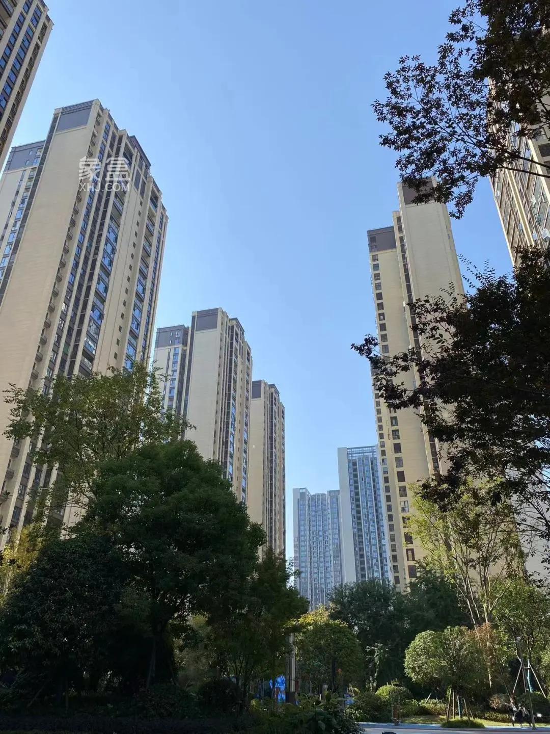 雨花区国企盘“国欣向荣府”推特价准现房“直降2000+”！读“砂子塘”近双地铁！