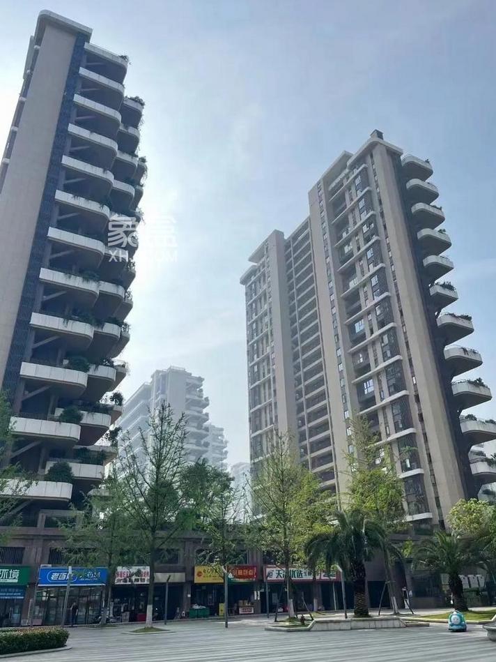 多地优化住房用地供应机制 精准匹配市场供需新格局‌