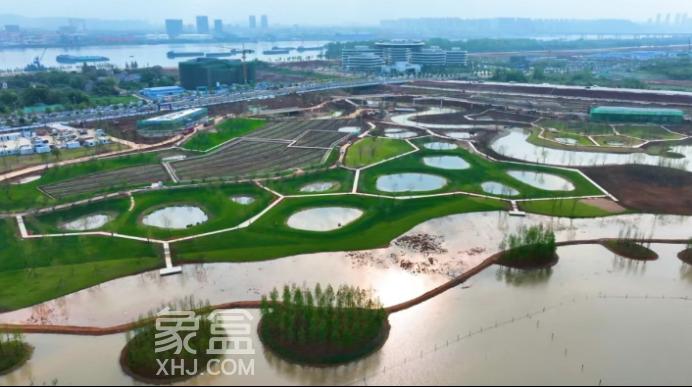 好消息！大泽湖近自然湿地公园将于5月底对外开放！