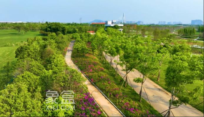 好消息！大泽湖近自然湿地公园将于5月底对外开放！