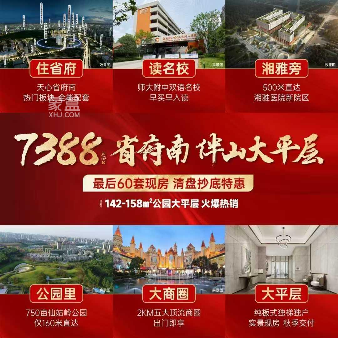 伴山雅著