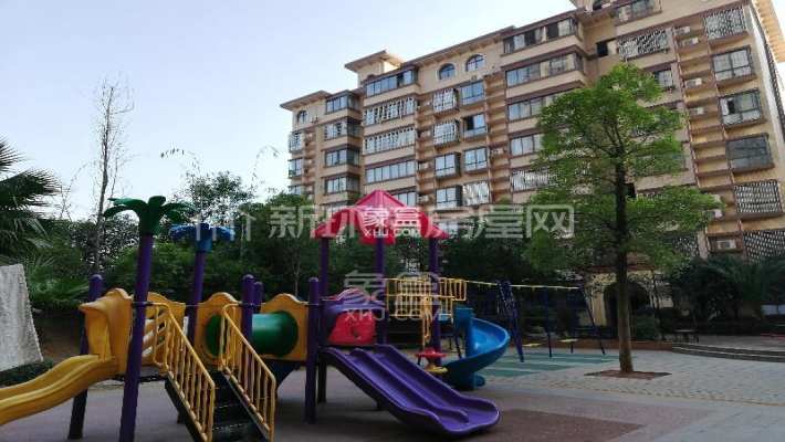 全权委托中介卖房：便利背后的风险与应对策略