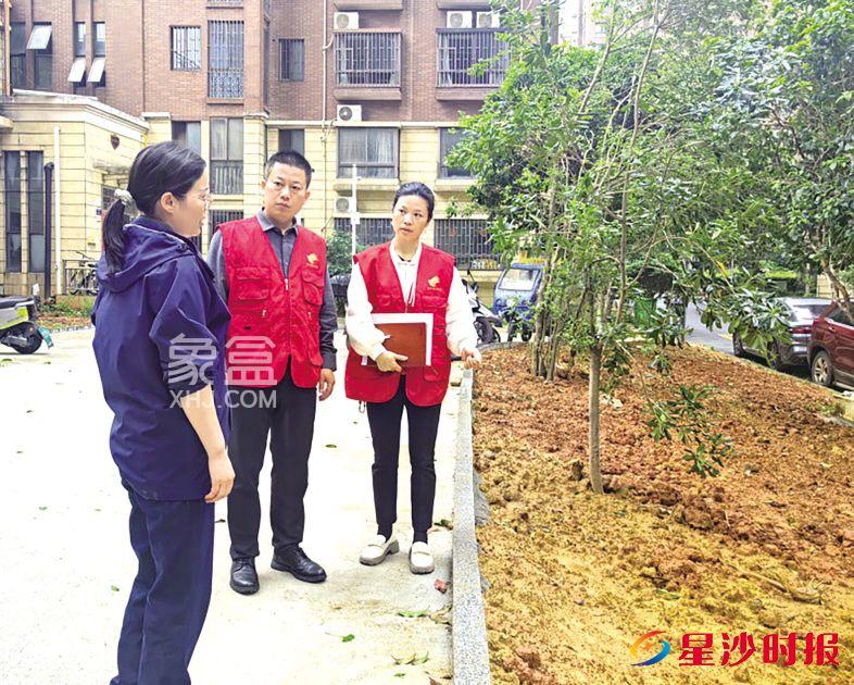 长沙县未来蜂巢、辉宏橄榄城、中国铁建国际城等探索基层治理“最优解”，12345物业投诉量下降40%！