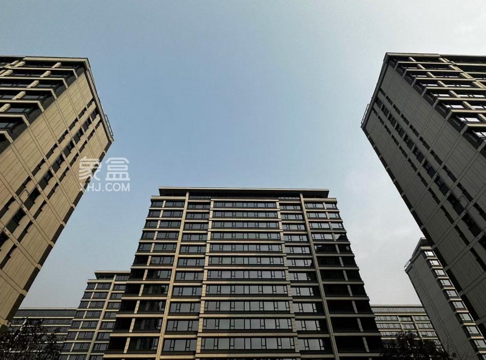 2025年海南自贸港"好房子"发展论坛启幕 罗牛山玖悦台树立品质人居新标杆