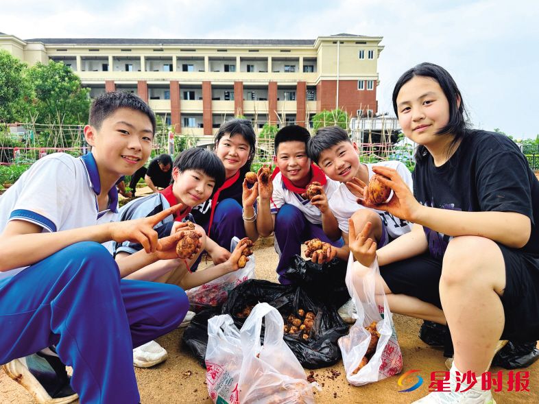 长沙市南雅星沙实验学校小学党支部开展田间党课,践行劳动育人理念! 长沙市南雅星沙实验学校小学党支部开展田间党课,践行劳动育人理念!