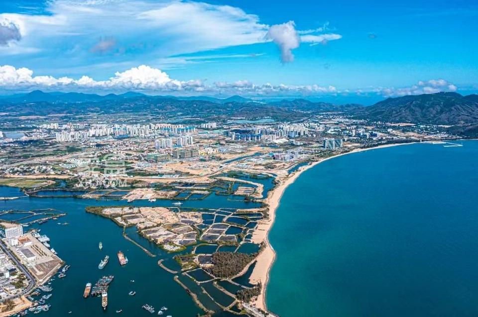金融活水浇灌科创沃土：农发行三亚市分行打造自贸港创新引擎
